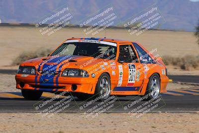 media/Oct-15-2023-Lucky Dog Racing Chuckwalla (Sun) [[f659570f60]]/4th Stint Turn 4 Tree of Life/